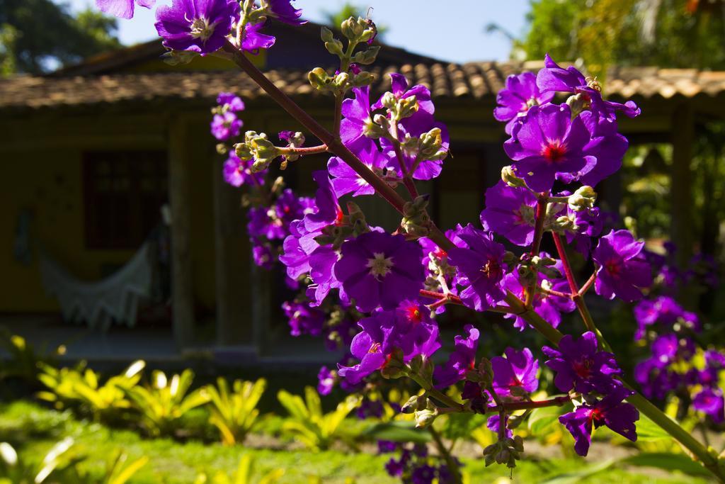 Pousada Casinhas Da Bahia Караіва Екстер'єр фото